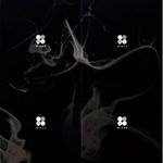 8804775073618