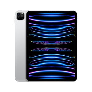 iPad Pro 11 Wi-Fi + Cellular (4a gen.)