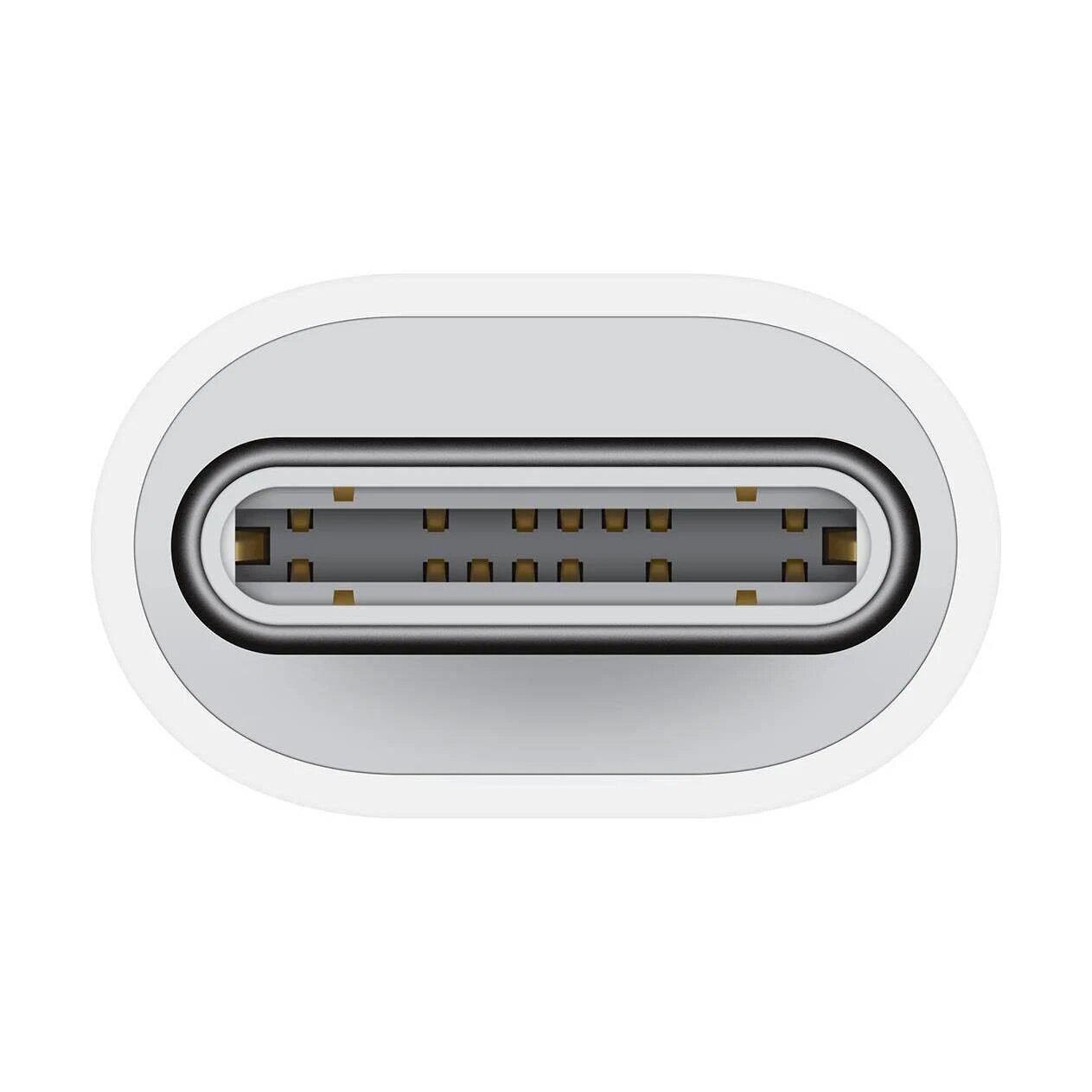 Apple Adaptador de USB-C a Lightning - iShop