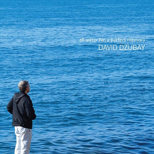 All Water Has A Perfect Memory Cd - Dzubay